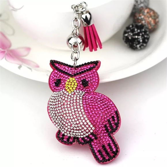 Accessories - Hot Pink & Silver Rhinestone Owl Keychain & Tassel Charm